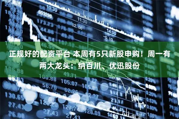 正规好的配资平台 本周有5只新股申购！周一有两大龙头：纳百川、优迅股份