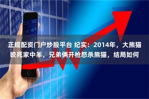 正规配资门户炒股平台 纪实：2014年，大熊猫咬死家中羊，兄弟俩开枪怒杀熊猫，结局如何