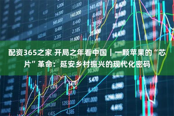 配资365之家 开局之年看中国｜一颗苹果的“芯片”革命：延安乡村振兴的现代化密码